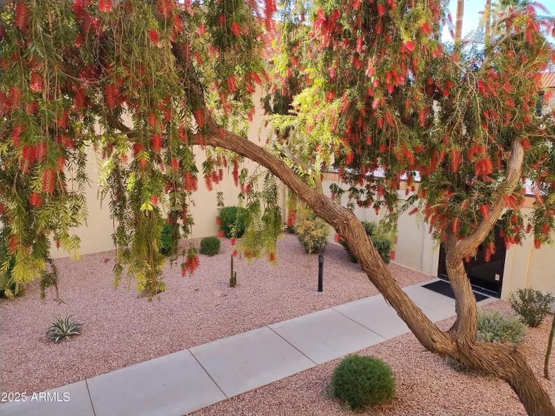 IMG_20250405_170024362