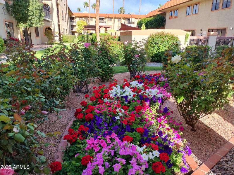 IMG_20250405_171756470_HDR