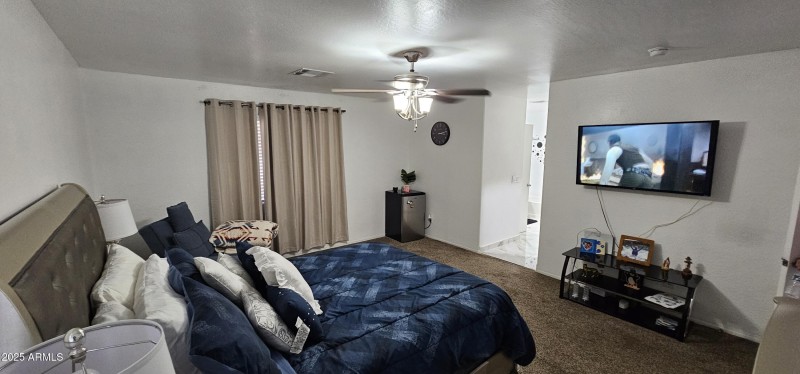 pic 19