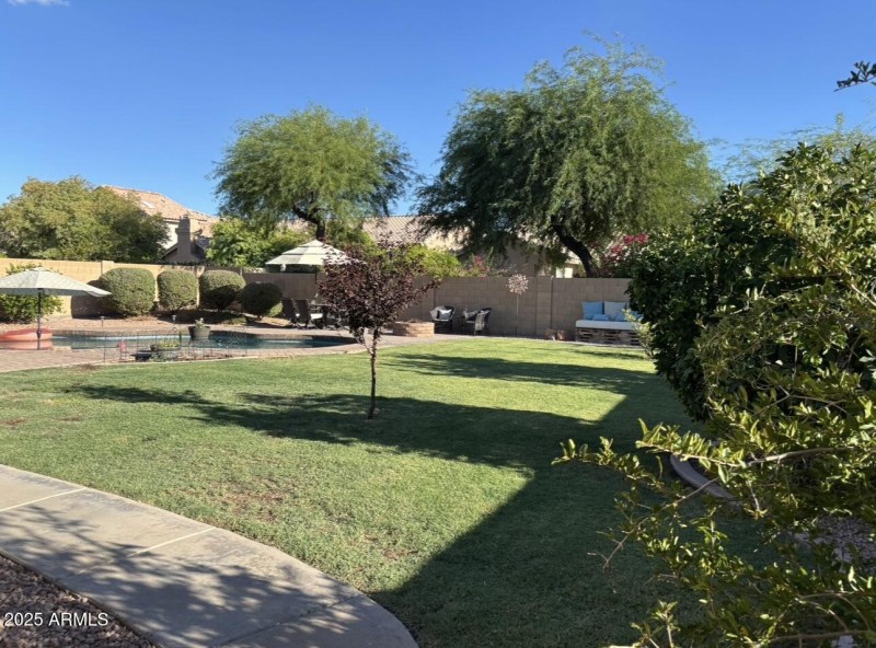 BackYard 1