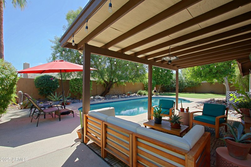 Back yard