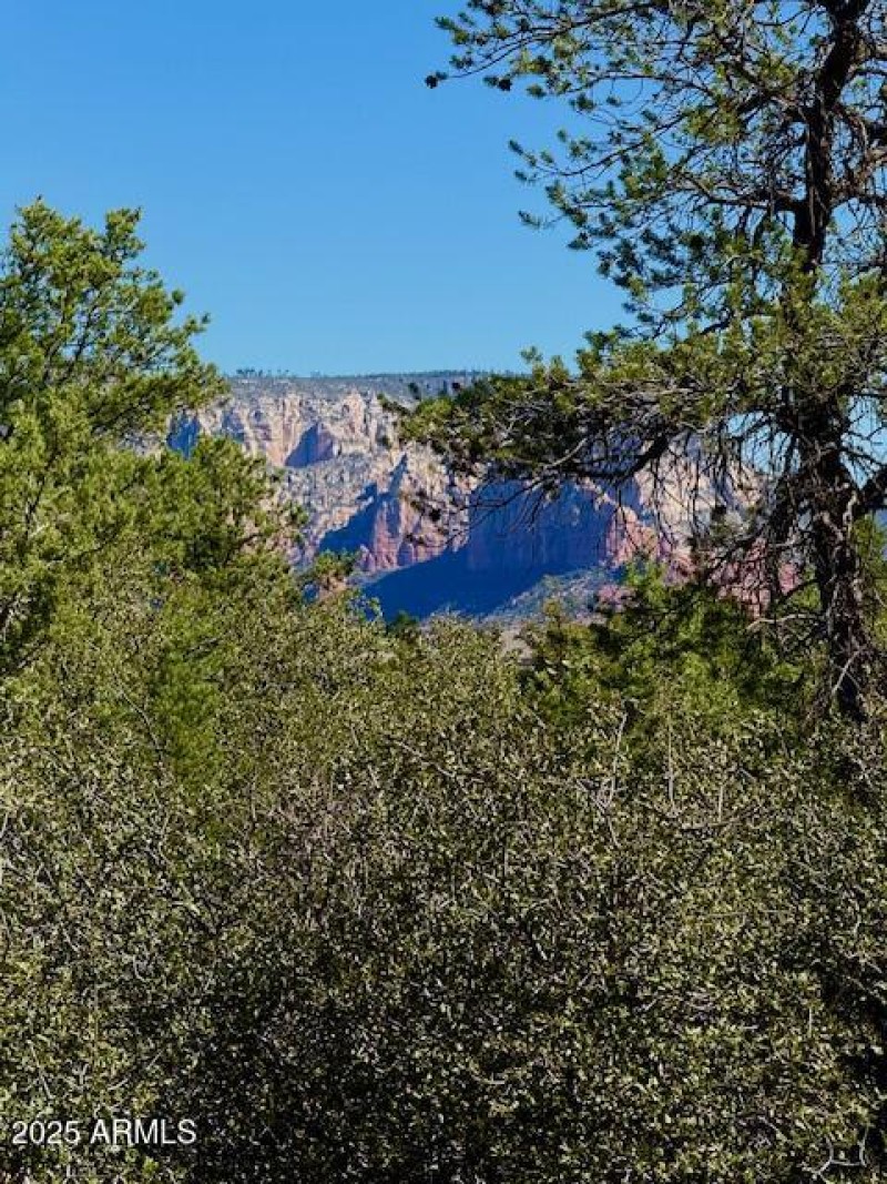 View of The Ridge