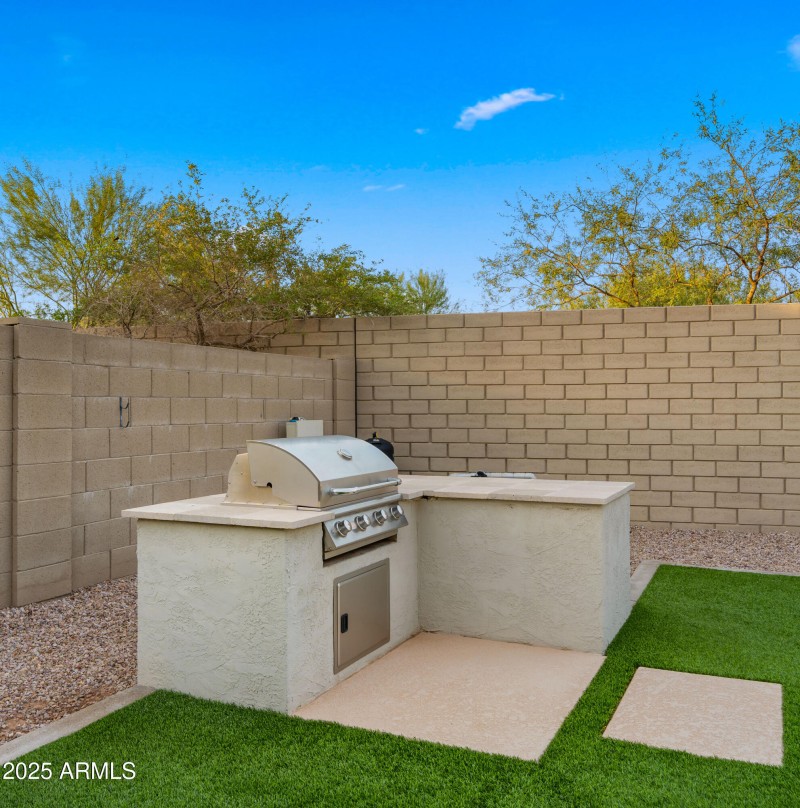 Backyard5