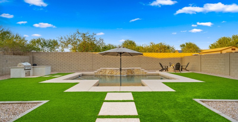 Backyard6