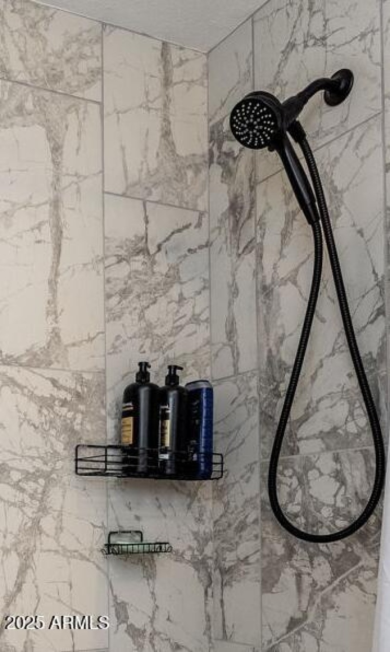 Guest Bath - Shower Handheld