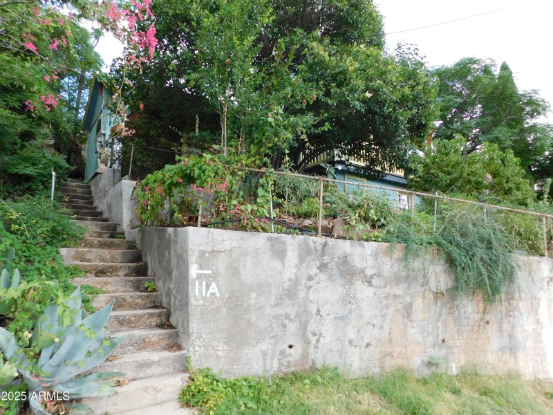 DSCN0234
