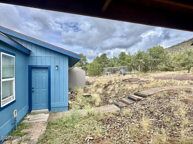 Backyard Looking North1