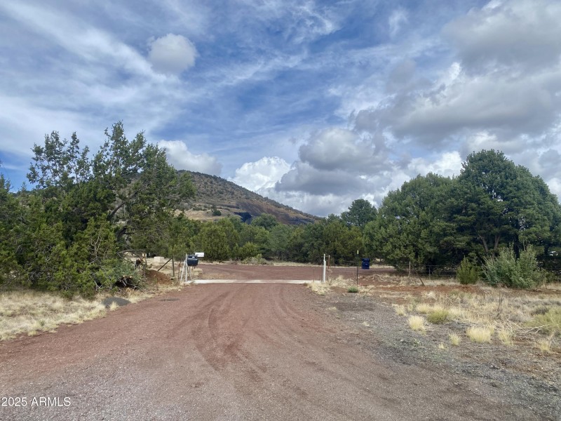 Cattleguard Looking East1