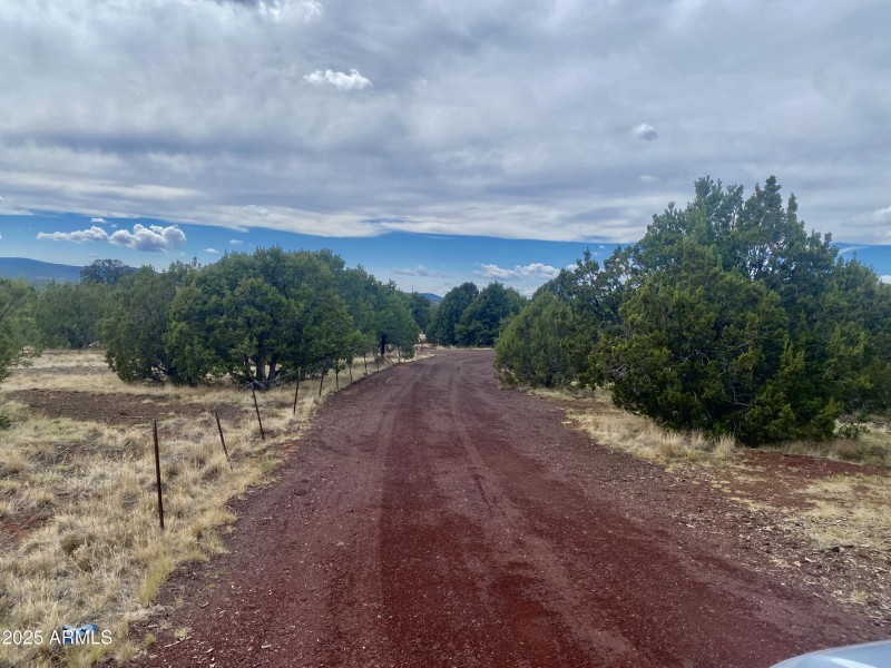 Driveway Looking West1