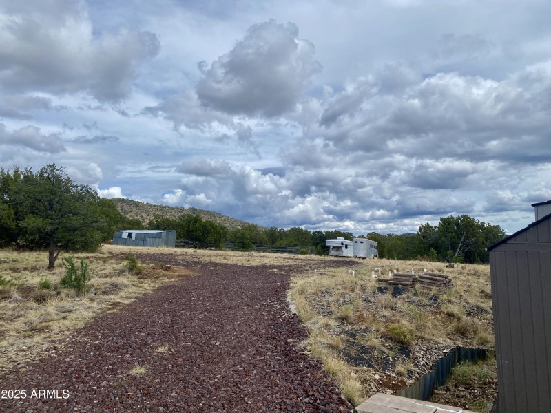 East View of Back Yard1