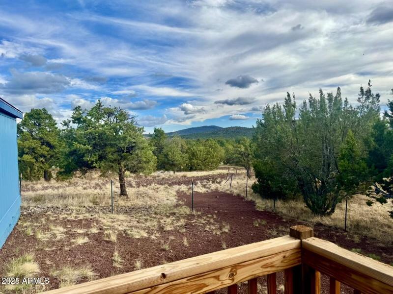 Front Porch Looking South1