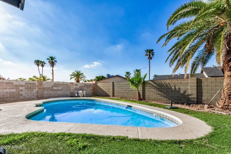 Backyard Oasis