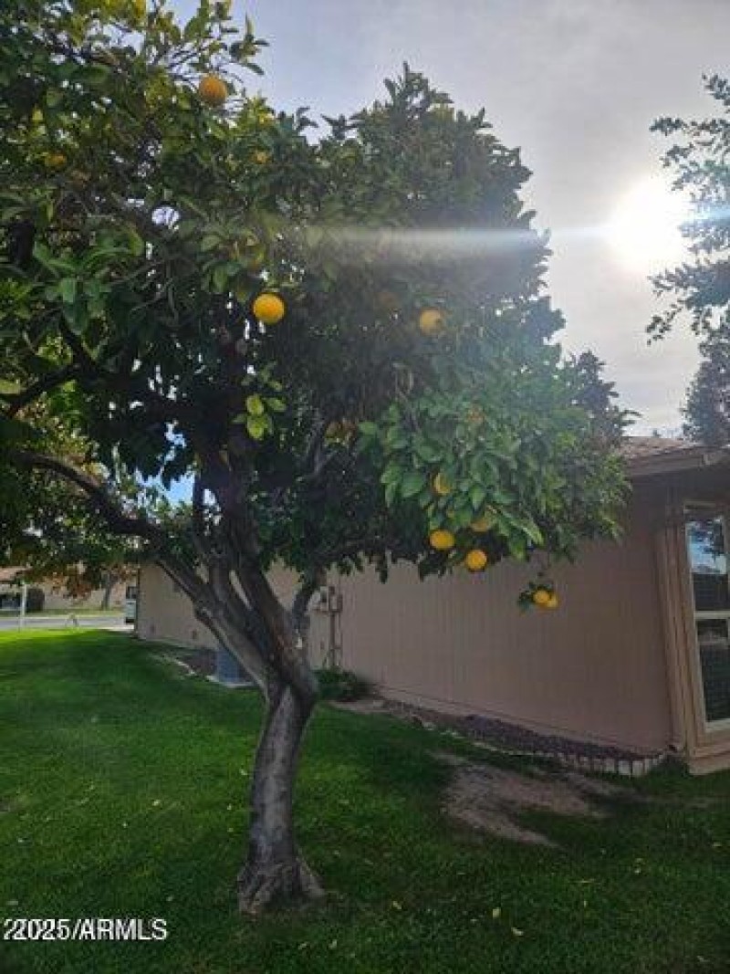 20250215234747207510000000-o