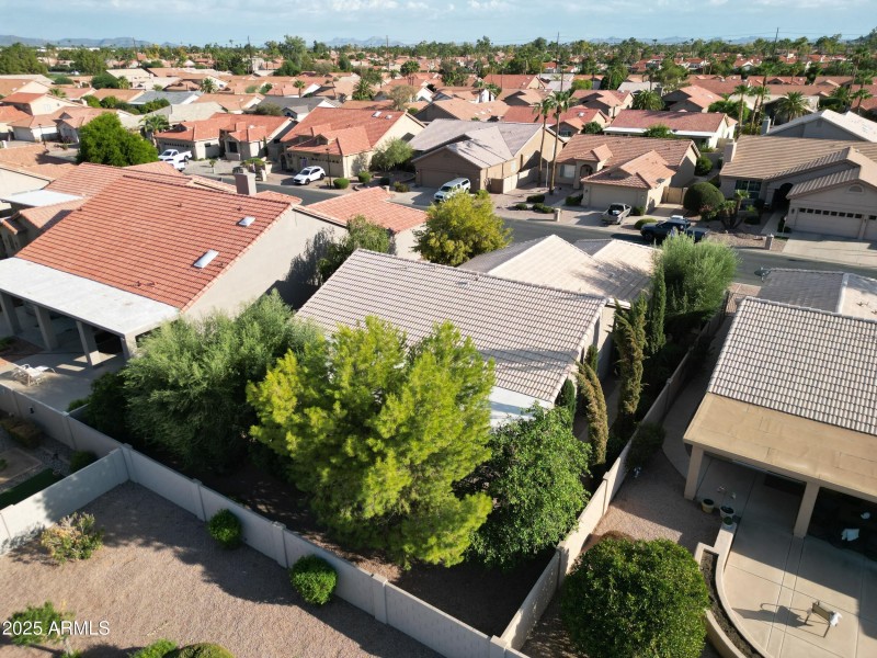 39_dji_0121