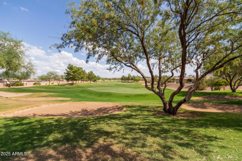 Sun City Grand Community Photos (7)