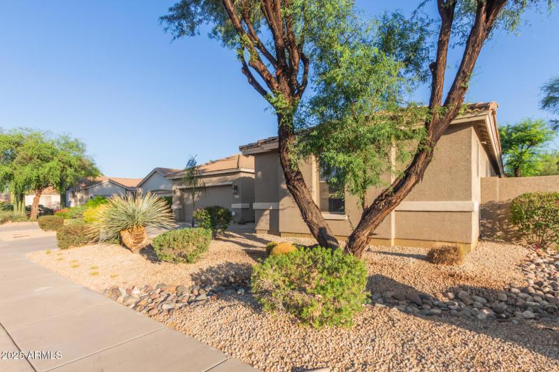 3523 W Buckhorn Trl