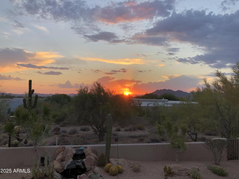 Backyard Sunset