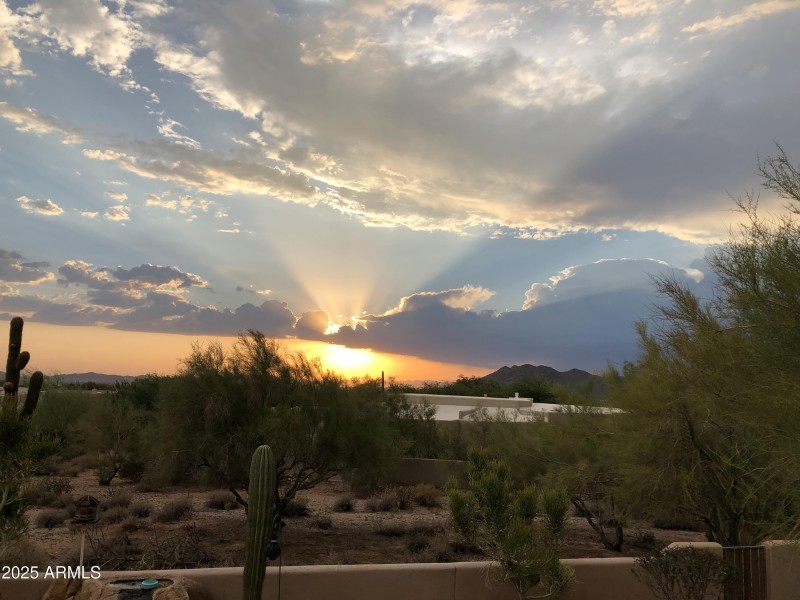 Backyard Sunset