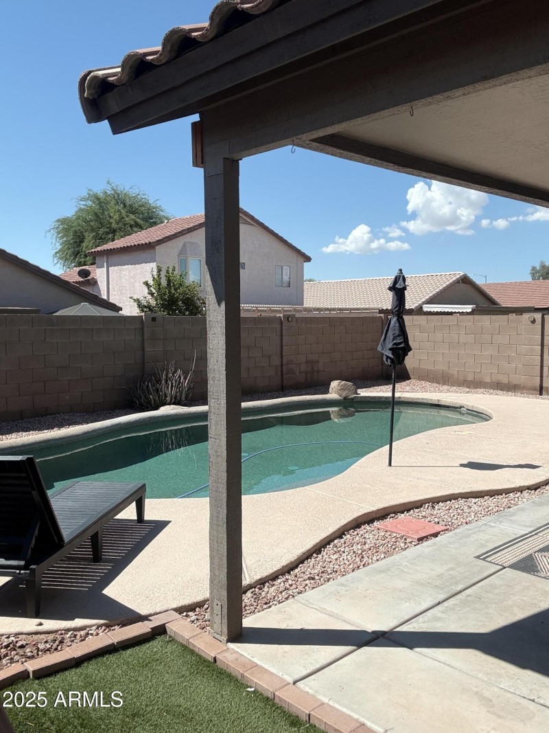 Backyard 1