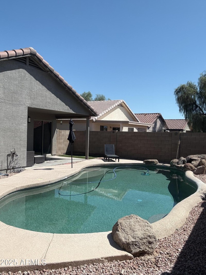 Backyard 3