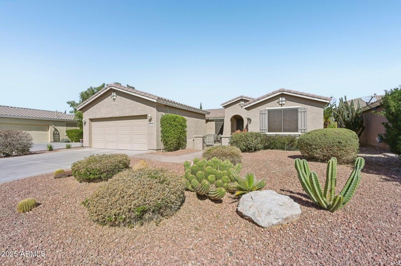 Desert Landscaping