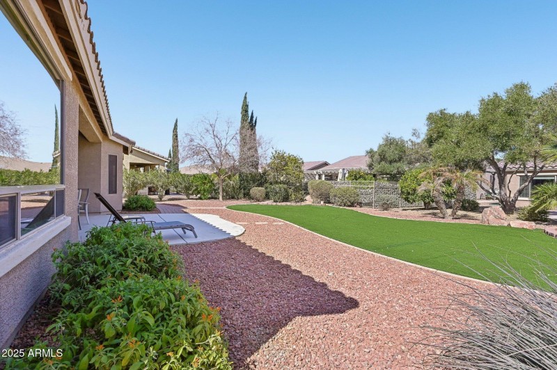 Views of the backyard