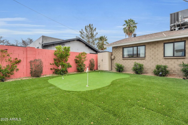 Backyard
