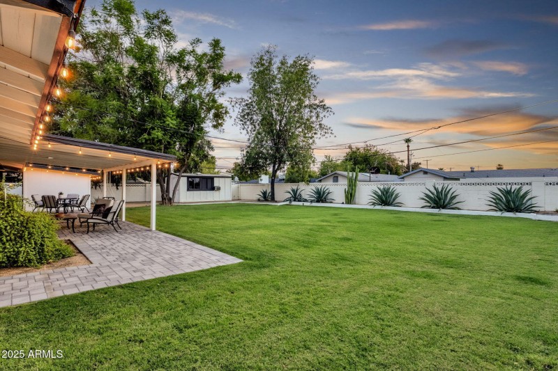 Backyard