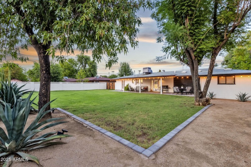 Backyard