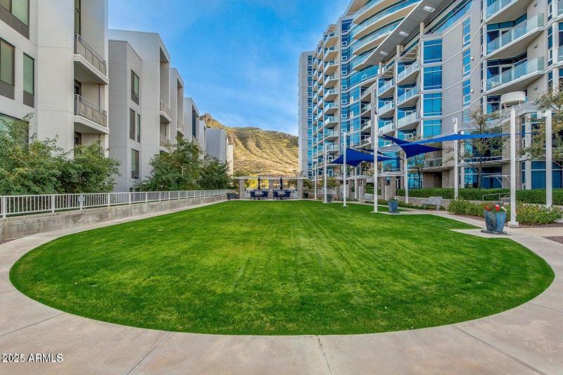 Park looking at A Mountain