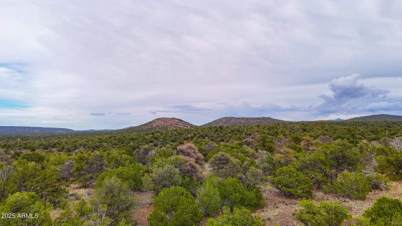 dji_fly_20250904_170230_0621_17570876683