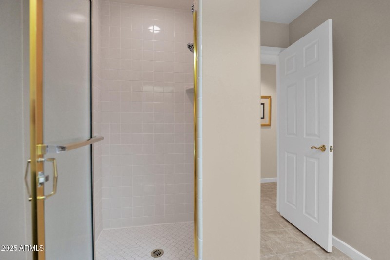 Hall Bathroom walk-in Shower
