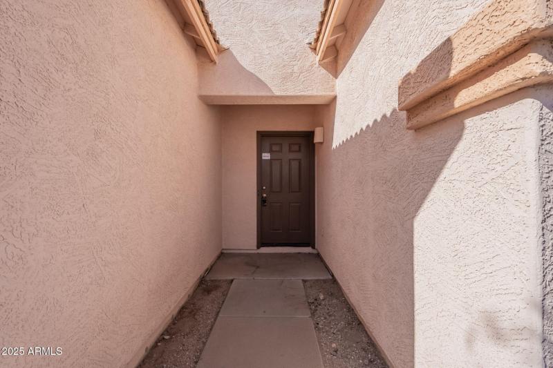 4-web-or-mls-Friesian-4