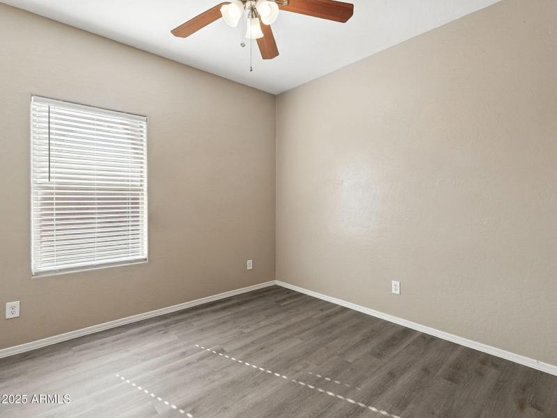 16-web-or-mls-Friesian-16