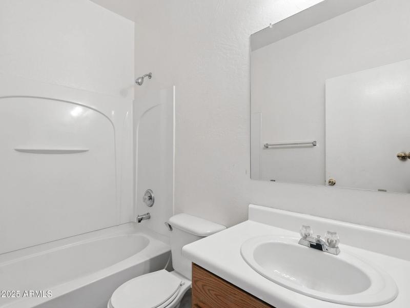 20-web-or-mls-Friesian-20