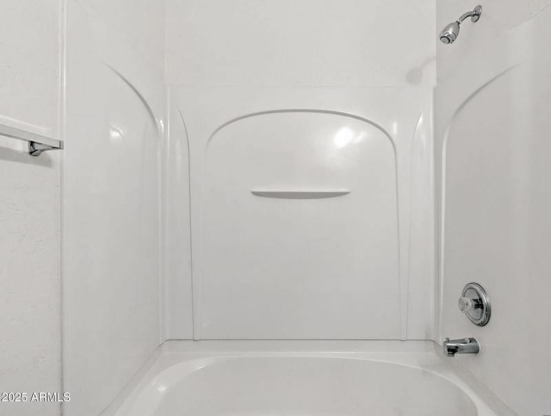 21-web-or-mls-Friesian-21