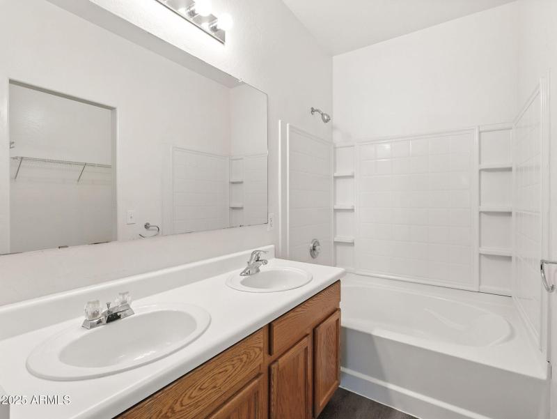 26-web-or-mls-Friesian-26