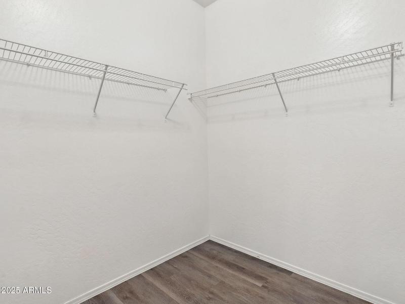 28-web-or-mls-Friesian-28