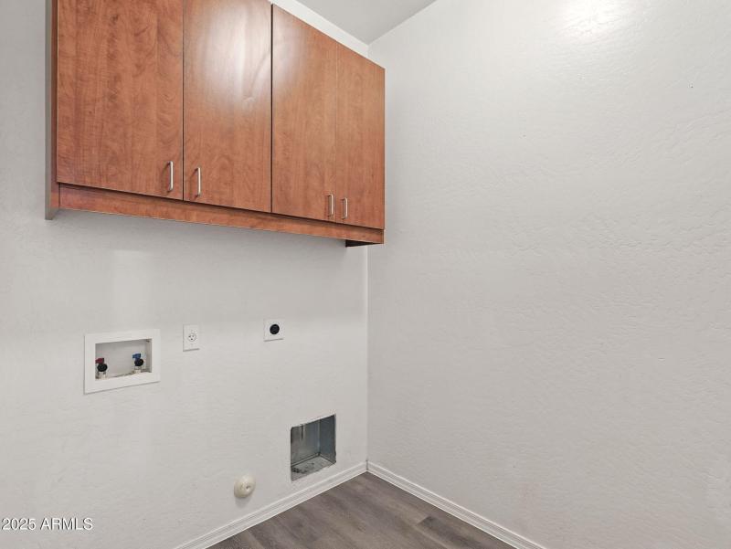 29-web-or-mls-Friesian-29