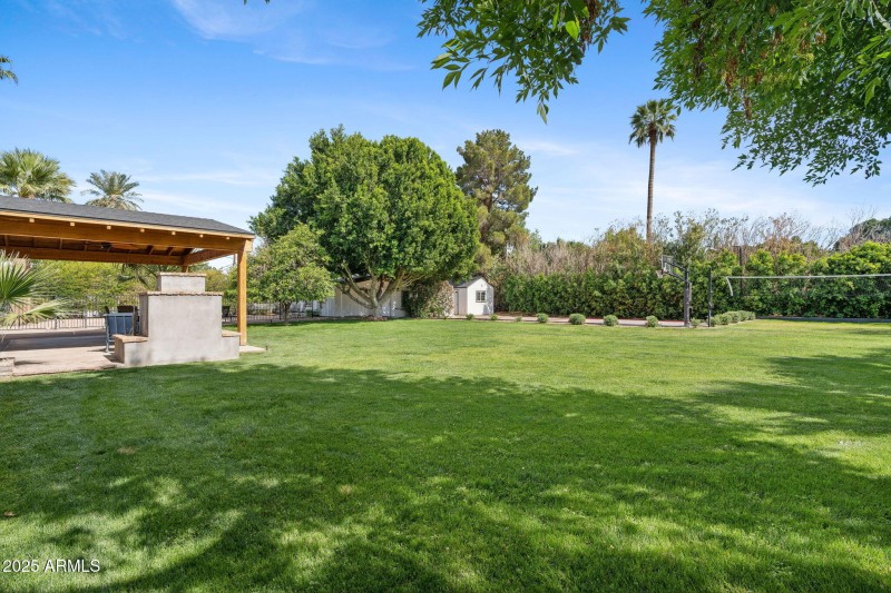 Backyard