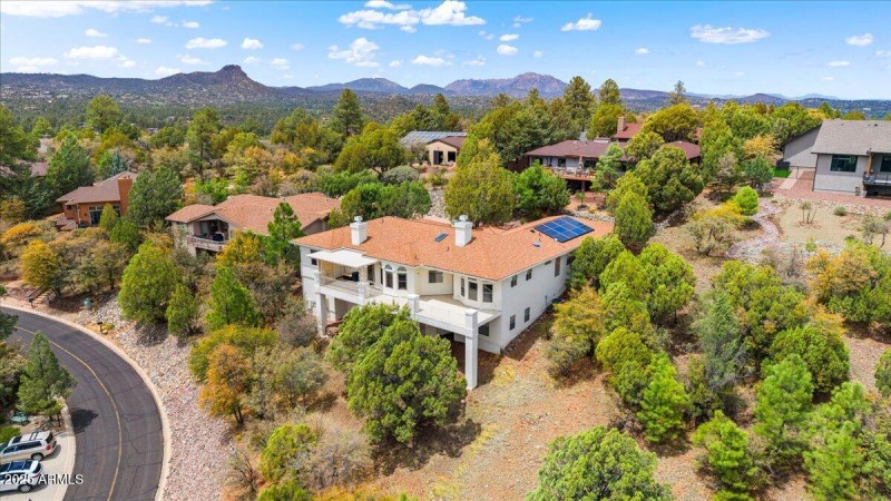 45-Aerial View Back