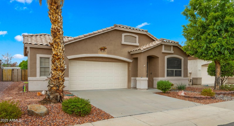 Javelina Dr
