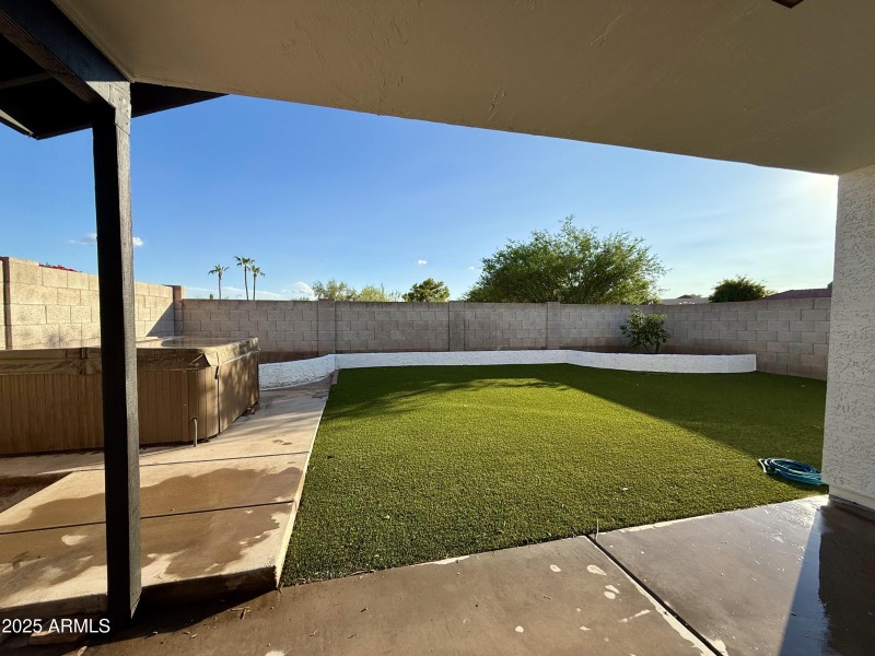 backyardnew