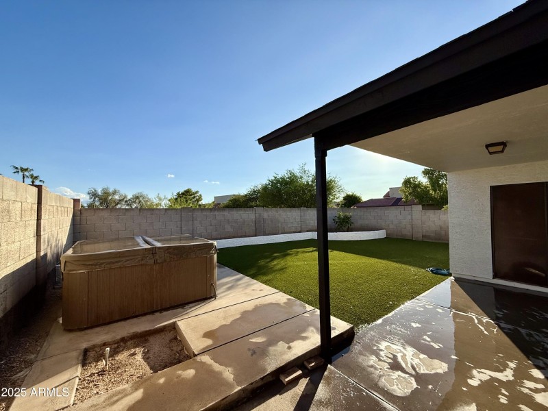 backyardnew2