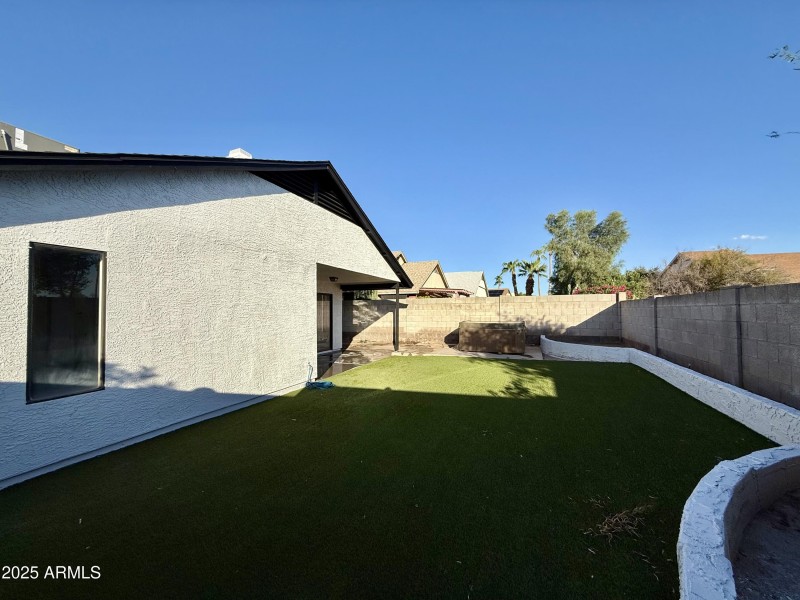 backyardnew3