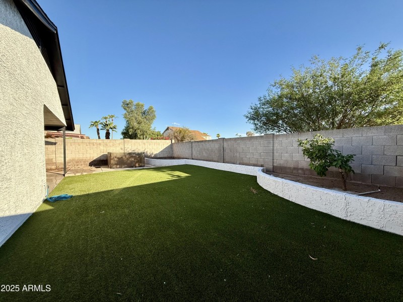 backyardnew4