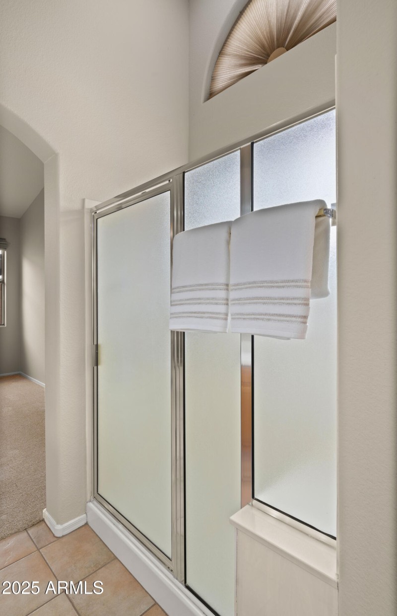Primary Shower