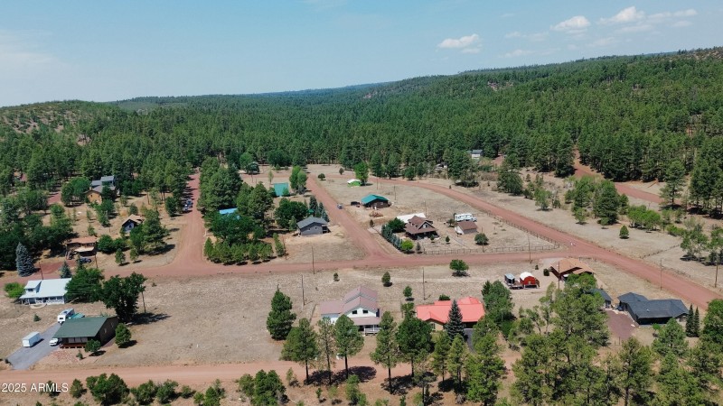 Surrounded by Forest