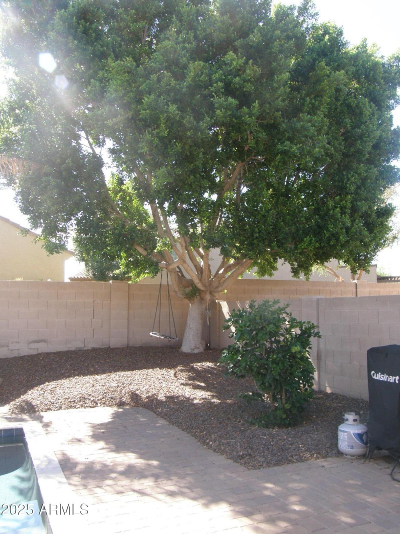 P9080066