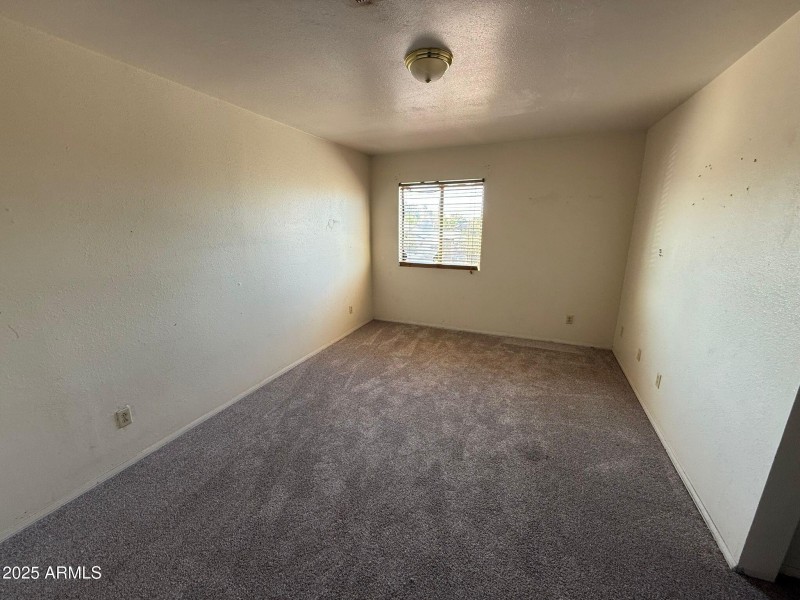 WhatsApp Image 2025-09-08 at 10.59.09 AM